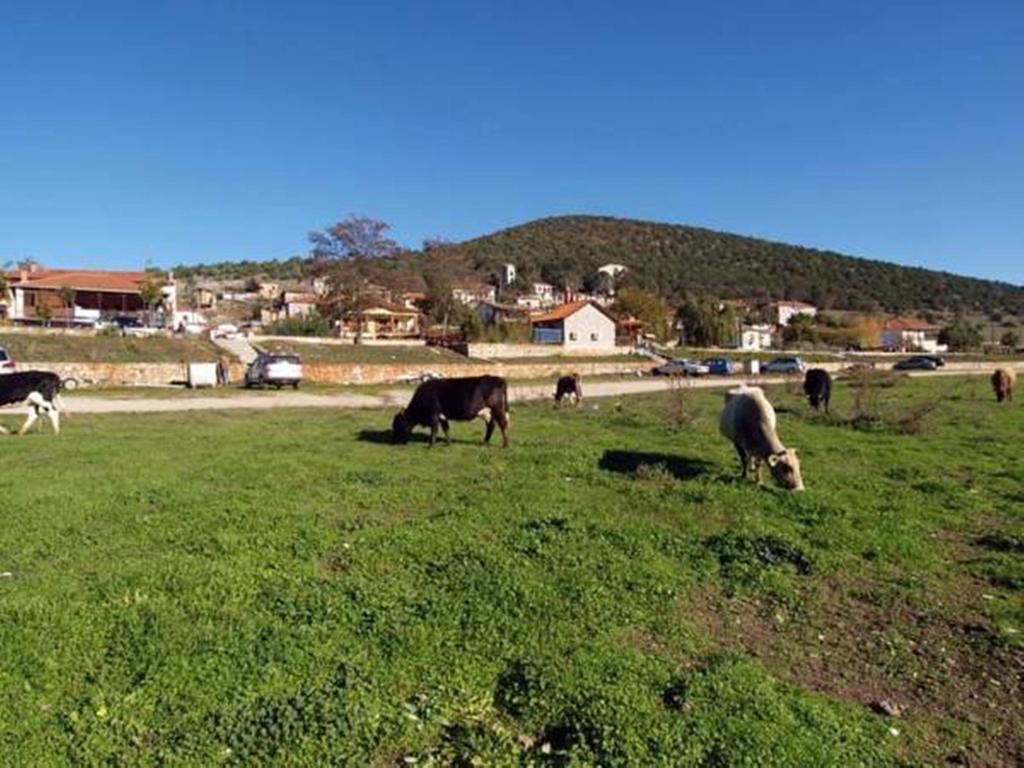 Arhontiko Otel Psarades Dış mekan fotoğraf